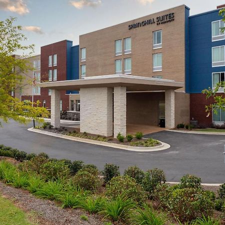 Springhill Suites By Marriott Suwanee Johns Creek エクステリア 写真